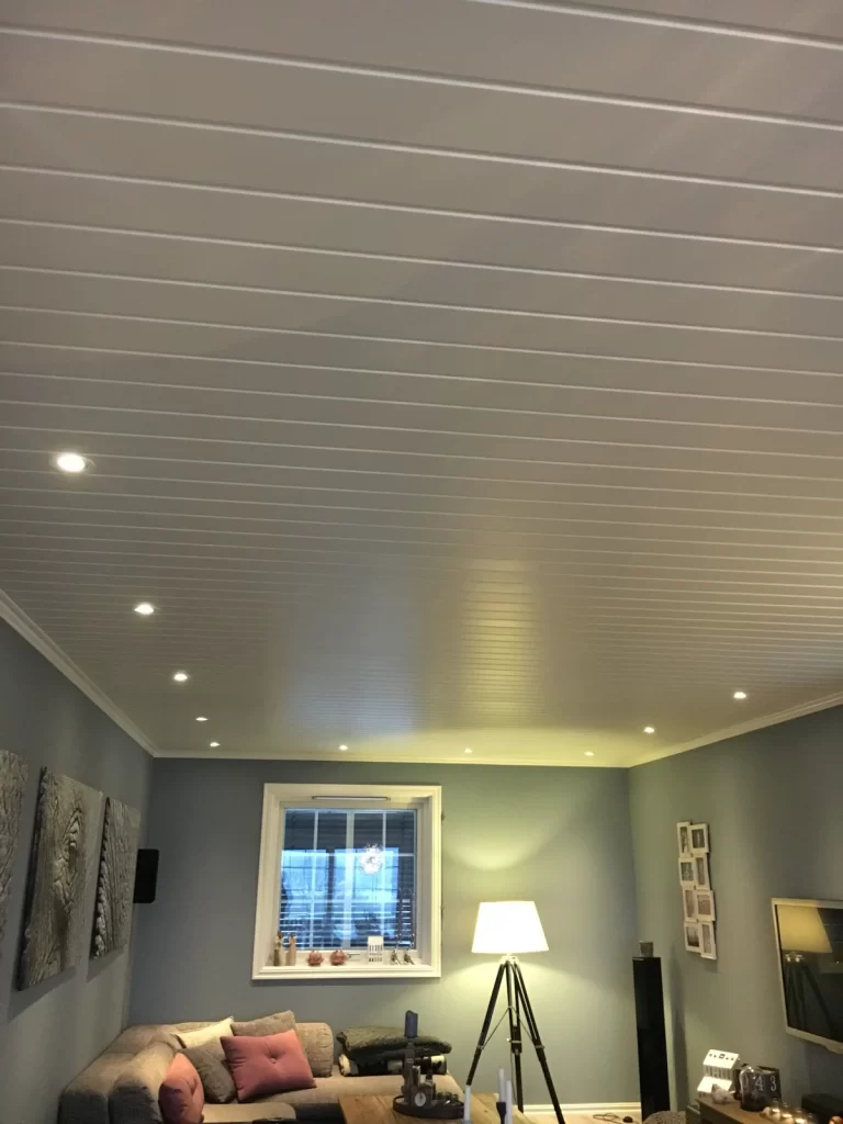 pvc-ceiling-1